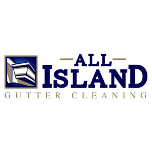 Gutter Cleaning Logo